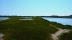 2017-06-13, 024, Tidal Marsh at Assateague Island