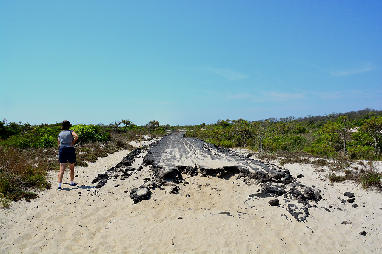 2017-06-13, 006, Dunes Trail at Assateague Island