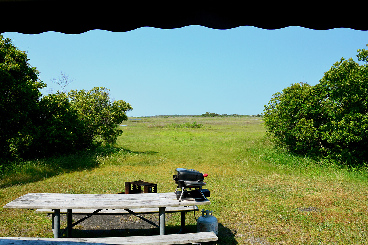 2017-06-12, 001, Assateague Island NS, MD