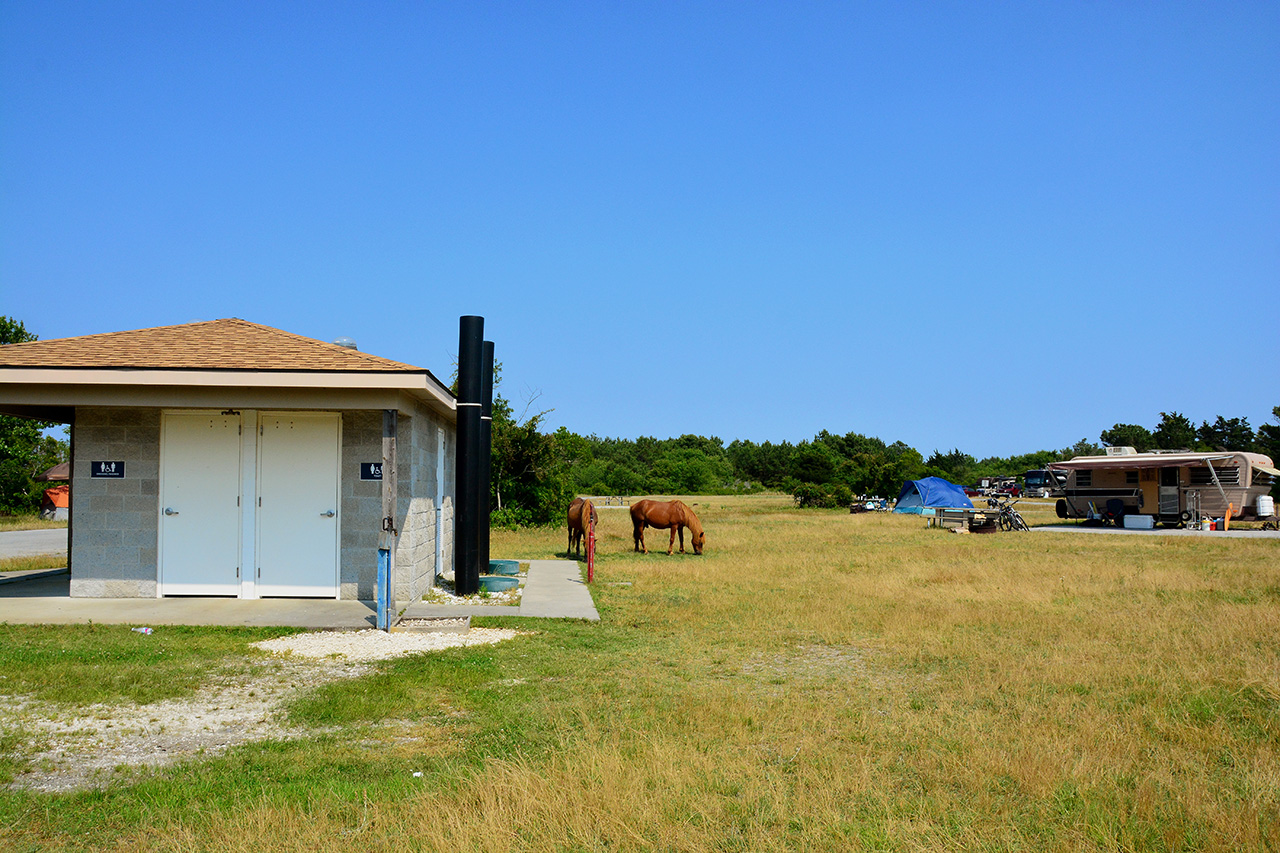 2017-06-12, 006, Assateague Island NS, MD