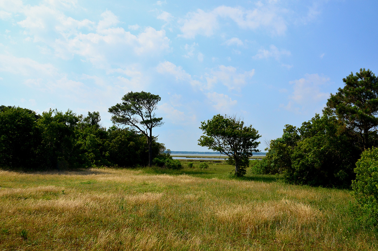 2017-06-12, 011, Assateague Island NS, MD