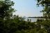 2017-06-12, 008, Life on the Marsh Trail