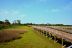 2017-06-12, 009, Life on the Marsh Trail
