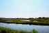 2017-06-12, 010, Life on the Marsh Trail