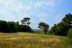 2017-06-12, 011, Assateague Island NS, MD