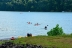 2017-06-17, 005, Youghiogheny River Dam, PA