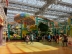 2017-06-27, 003, Mall of America, Bloomington, MN