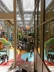 2017-06-27, 009, Mall of America, Bloomington, MN