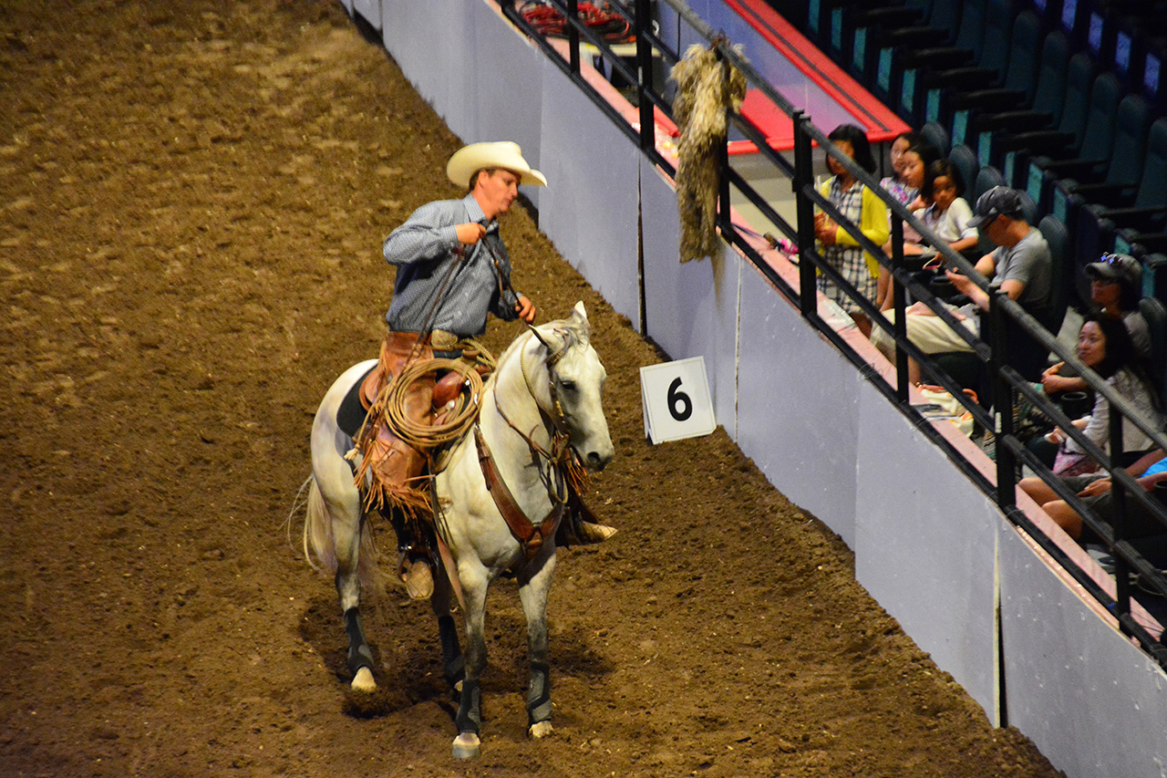 2017-07-08, 106, Calgary Stampede, AB, Cowboy up Challenge
