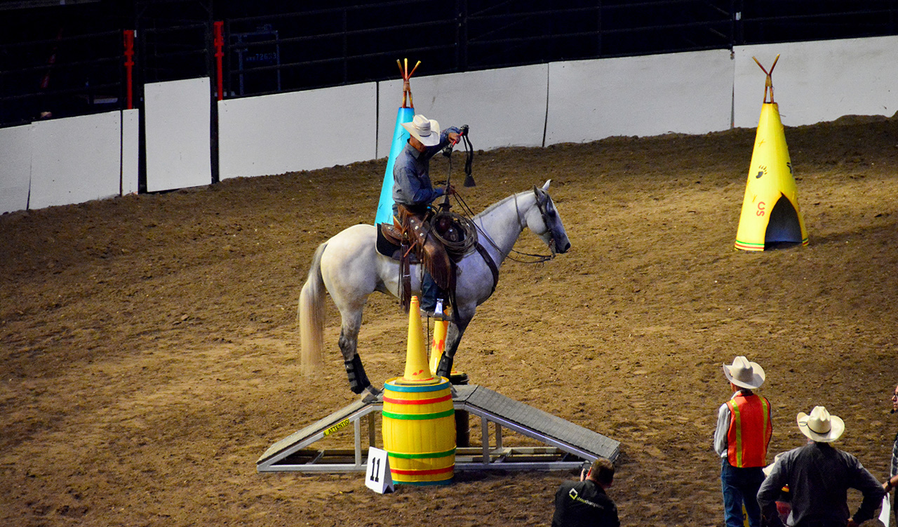 2017-07-08, 108, Calgary Stampede, AB, Cowboy up Challenge