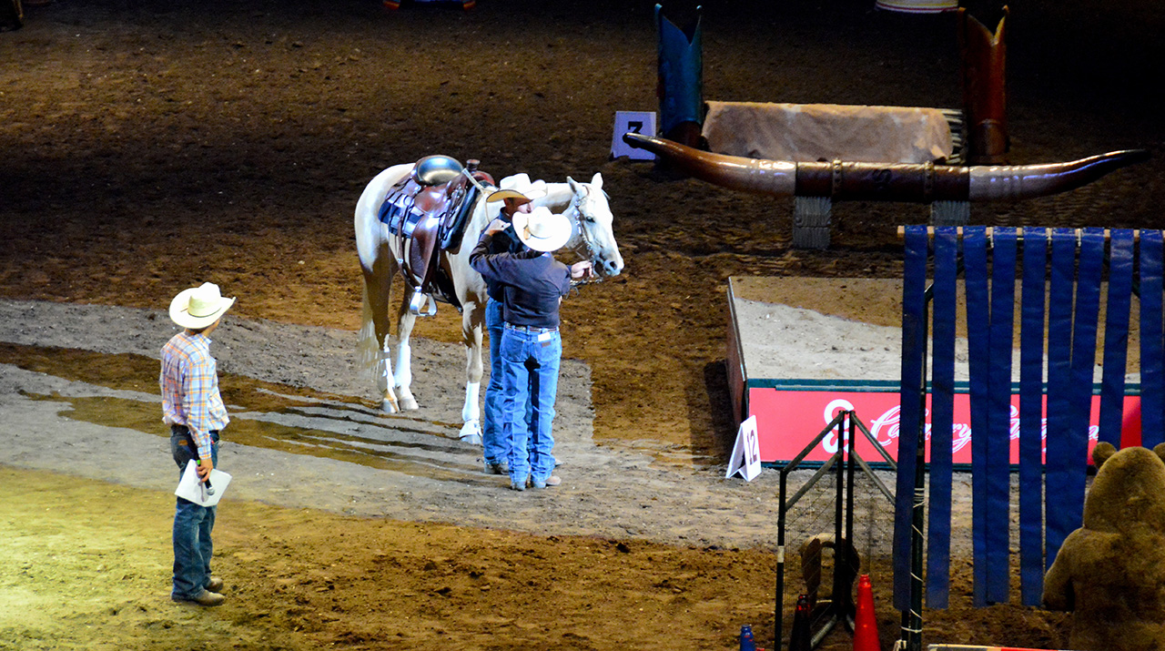2017-07-08, 109, Calgary Stampede, AB, Cowboy up Challenge