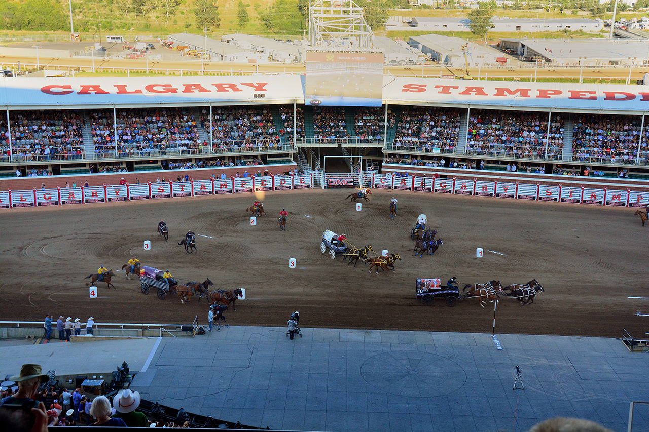 2017-07-09, 021, Calgary Stapede, AB, Chuck Wagon Rasces