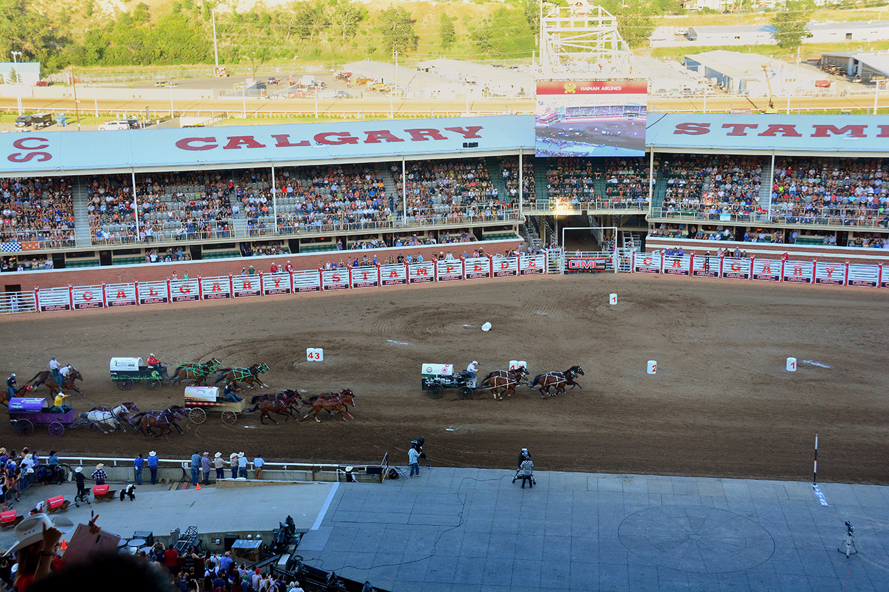 2017-07-09, 050, Calgary Stapede, AB, Chuck Wagon Rasces
