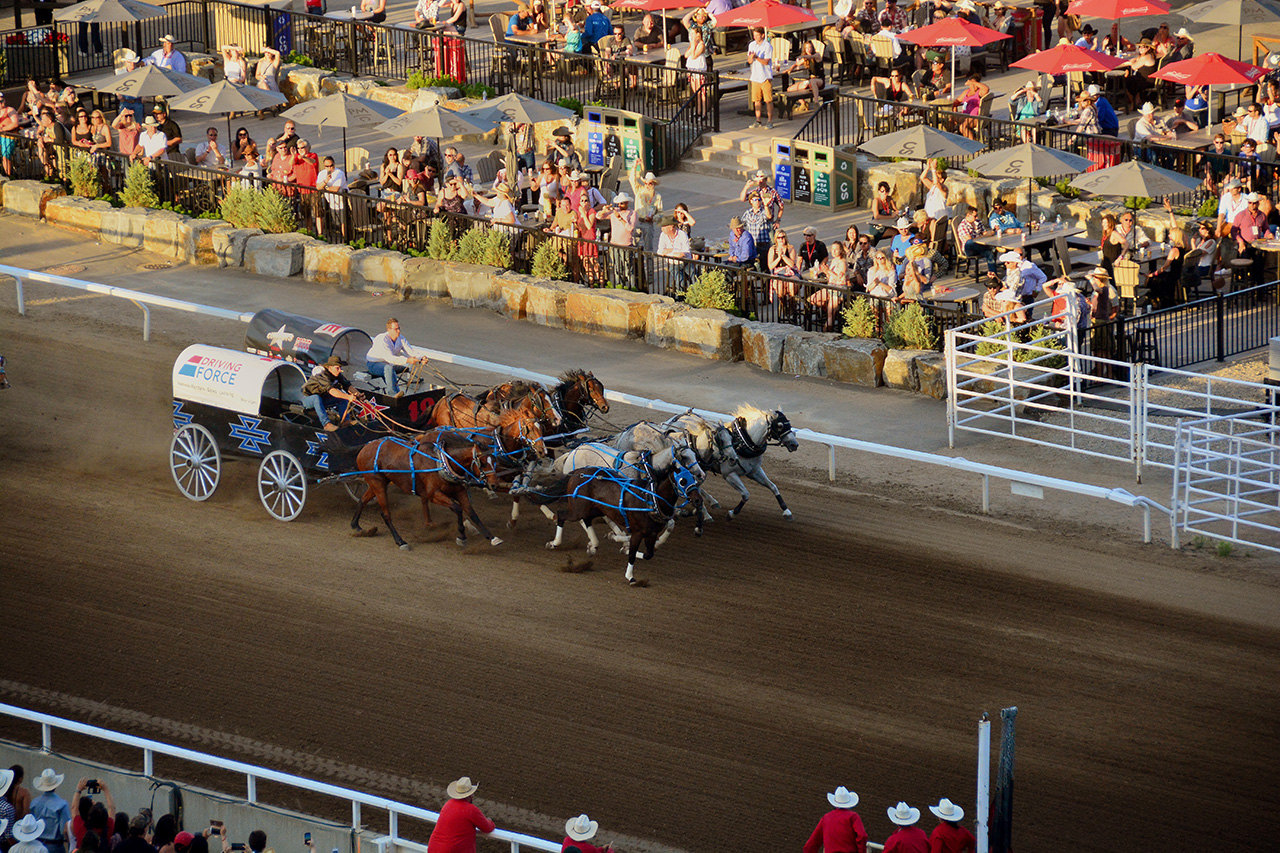 2017-07-09, 068, Calgary Stapede, AB, Chuck Wagon Rasces