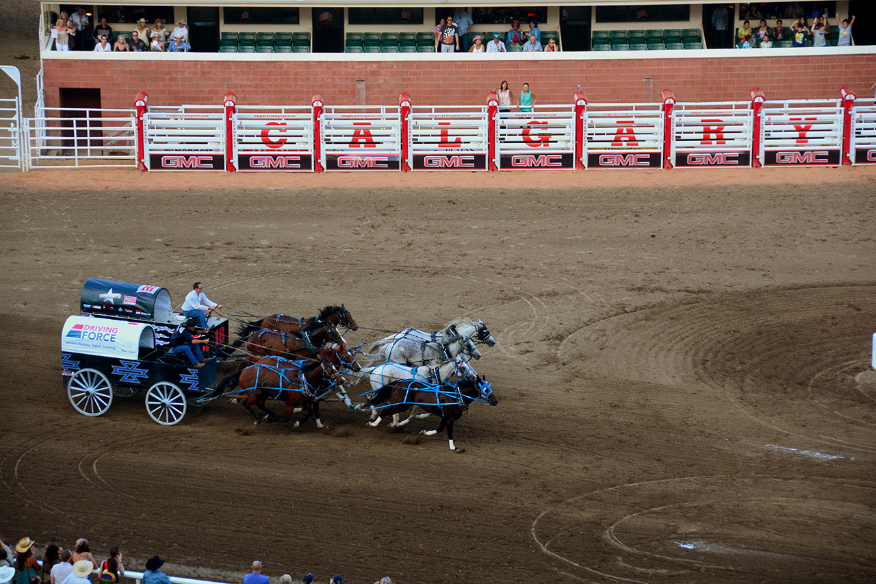 2017-07-09, 069, Calgary Stapede, AB, Chuck Wagon Rasces