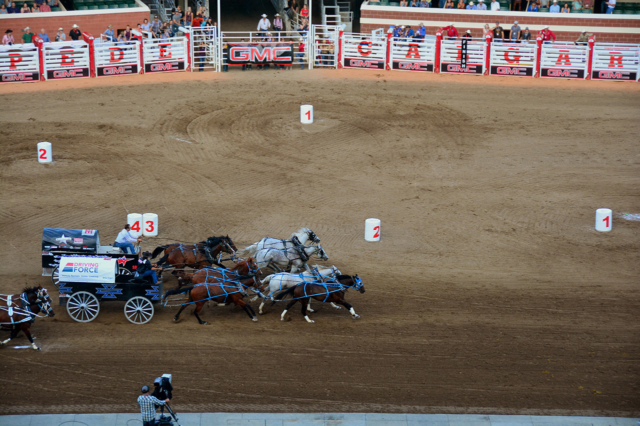 2017-07-09, 070, Calgary Stapede, AB, Chuck Wagon Rasces