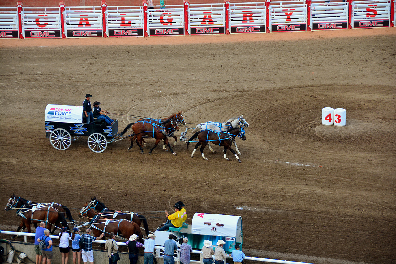 2017-07-09, 072, Calgary Stapede, AB, Chuck Wagon Rasces