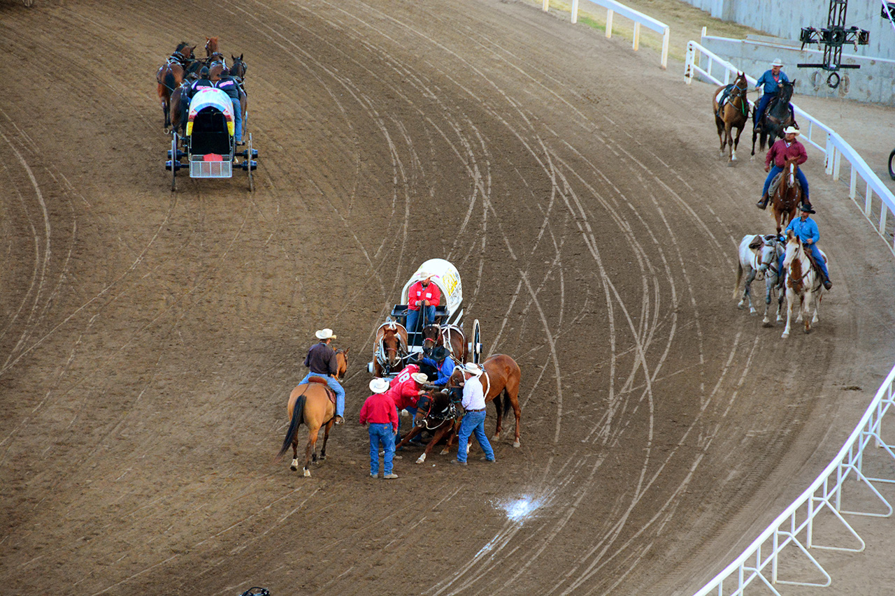 2017-07-09, 084, Calgary Stapede, AB, Chuck Wagon Rasces