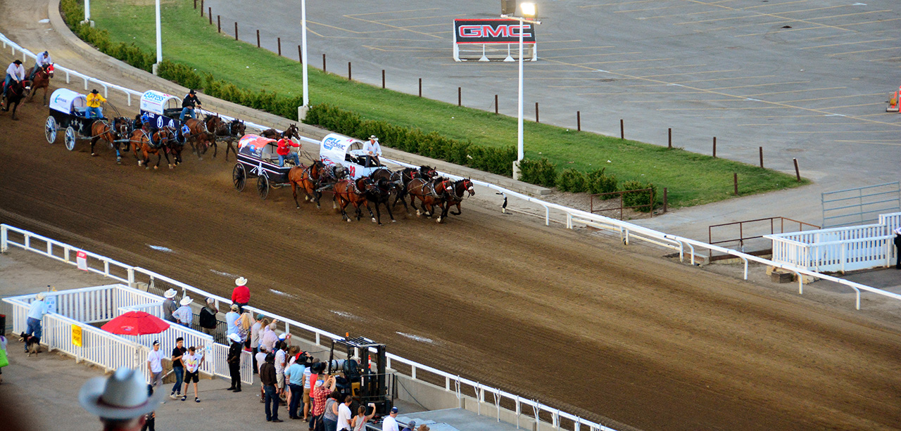 2017-07-09, 116, Calgary Stapede, AB, Chuck Wagon Rasces