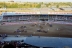 2017-07-09, 019, Calgary Stapede, AB, Chuck Wagon Rasces