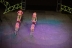 2017-07-09, 156, Calgary Stapede, AB, TransAlta Show