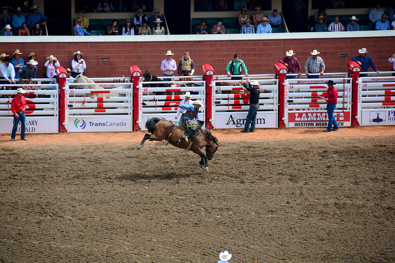 2017-07-10, 017, Calgary Stampede, AB, Saddle Bronco Riding