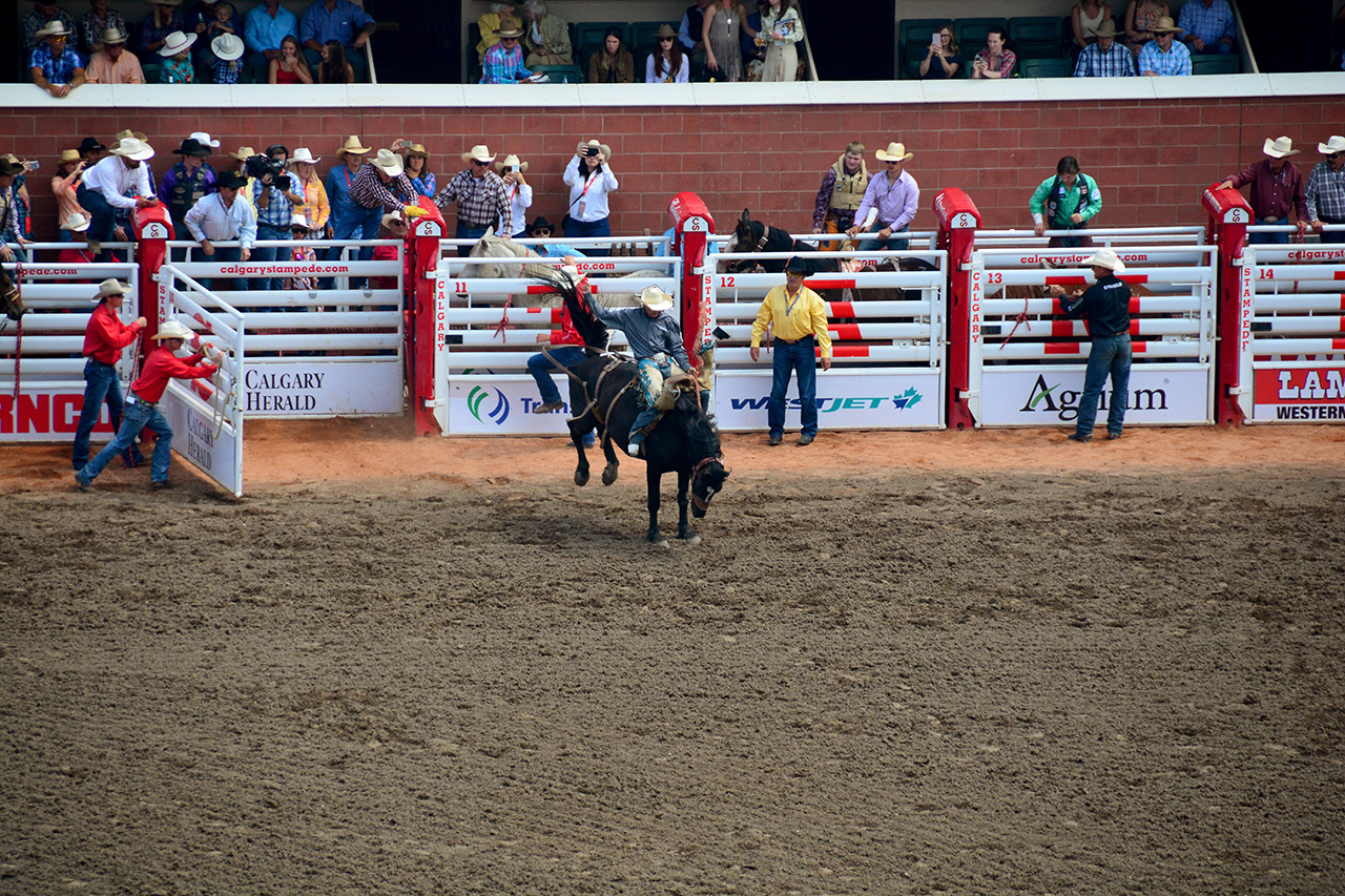 2017-07-10, 019, Calgary Stampede, AB, Saddle Bronco Riding