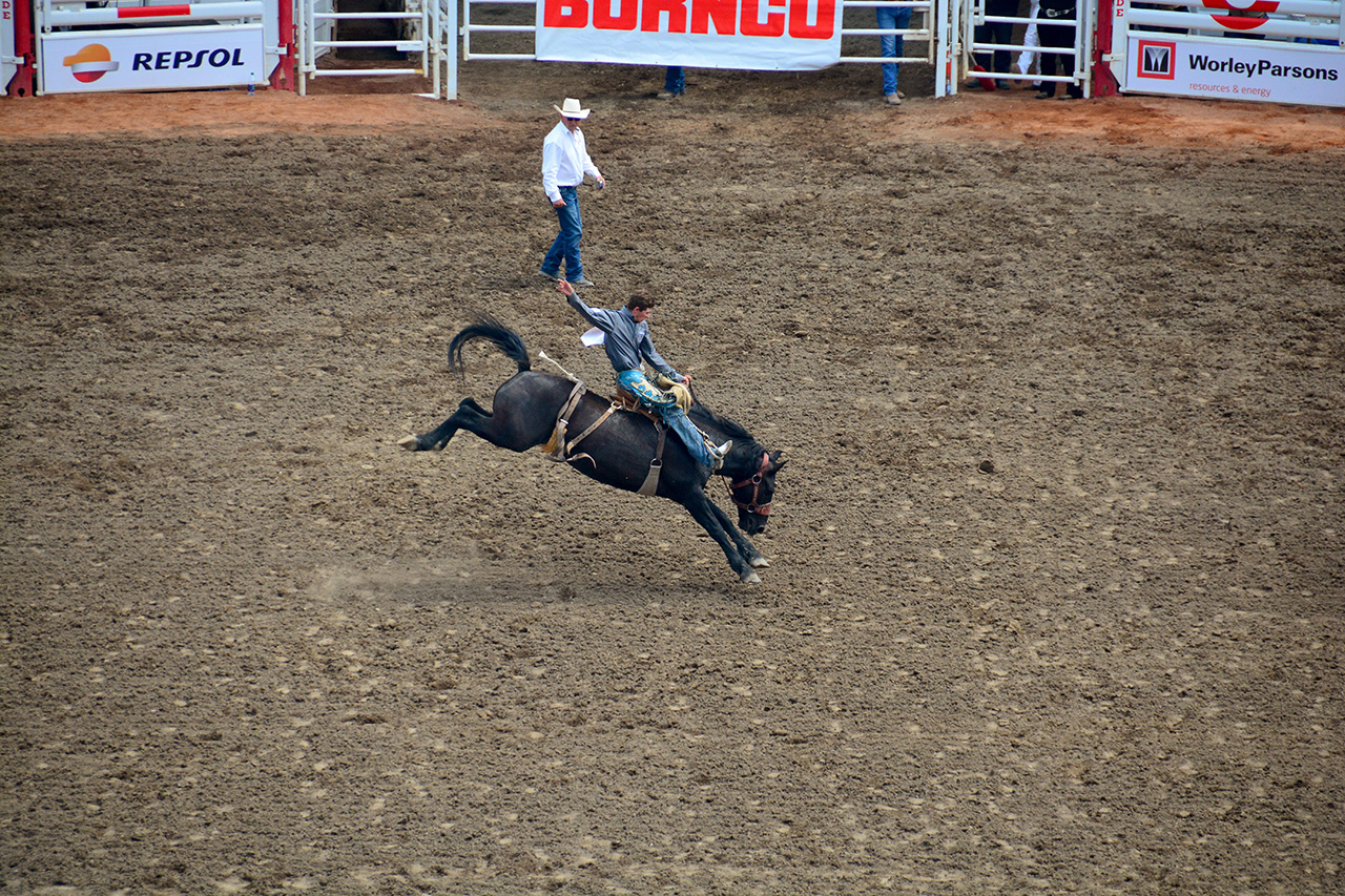 2017-07-10, 020, Calgary Stampede, AB, Saddle Bronco Riding