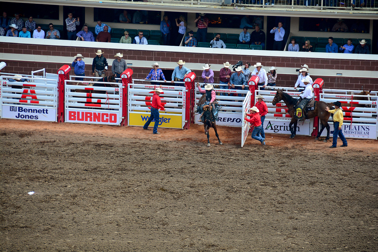 2017-07-10, 022, Calgary Stampede, AB, Saddle Bronco Riding