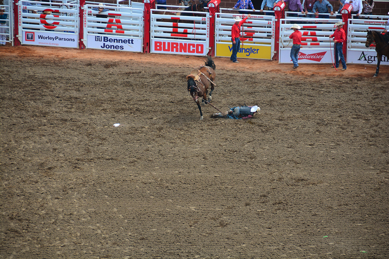 2017-07-10, 023, Calgary Stampede, AB, Saddle Bronco Riding