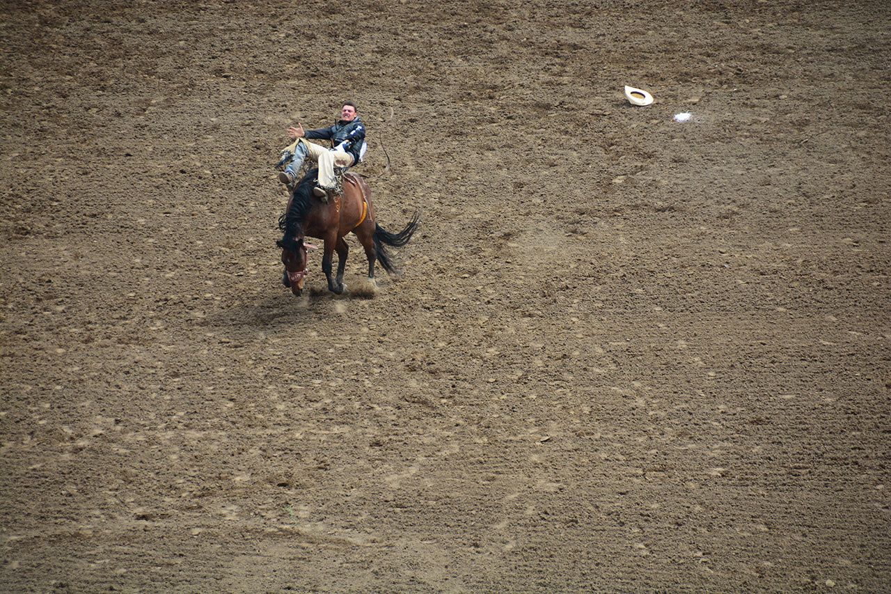 2017-07-10, 024, Calgary Stampede, AB, Saddle Bronco Riding