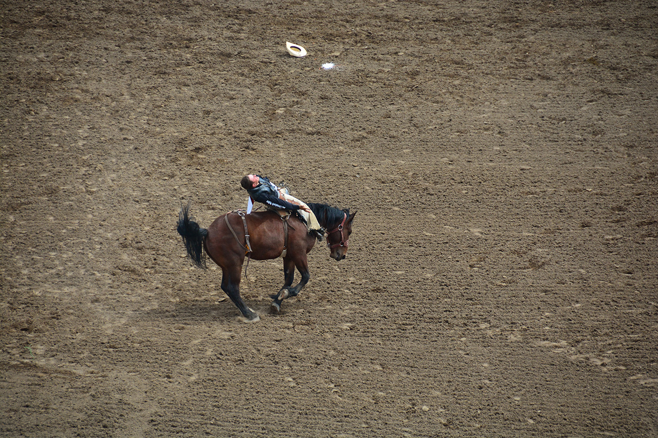 2017-07-10, 026, Calgary Stampede, AB, Saddle Bronco Riding