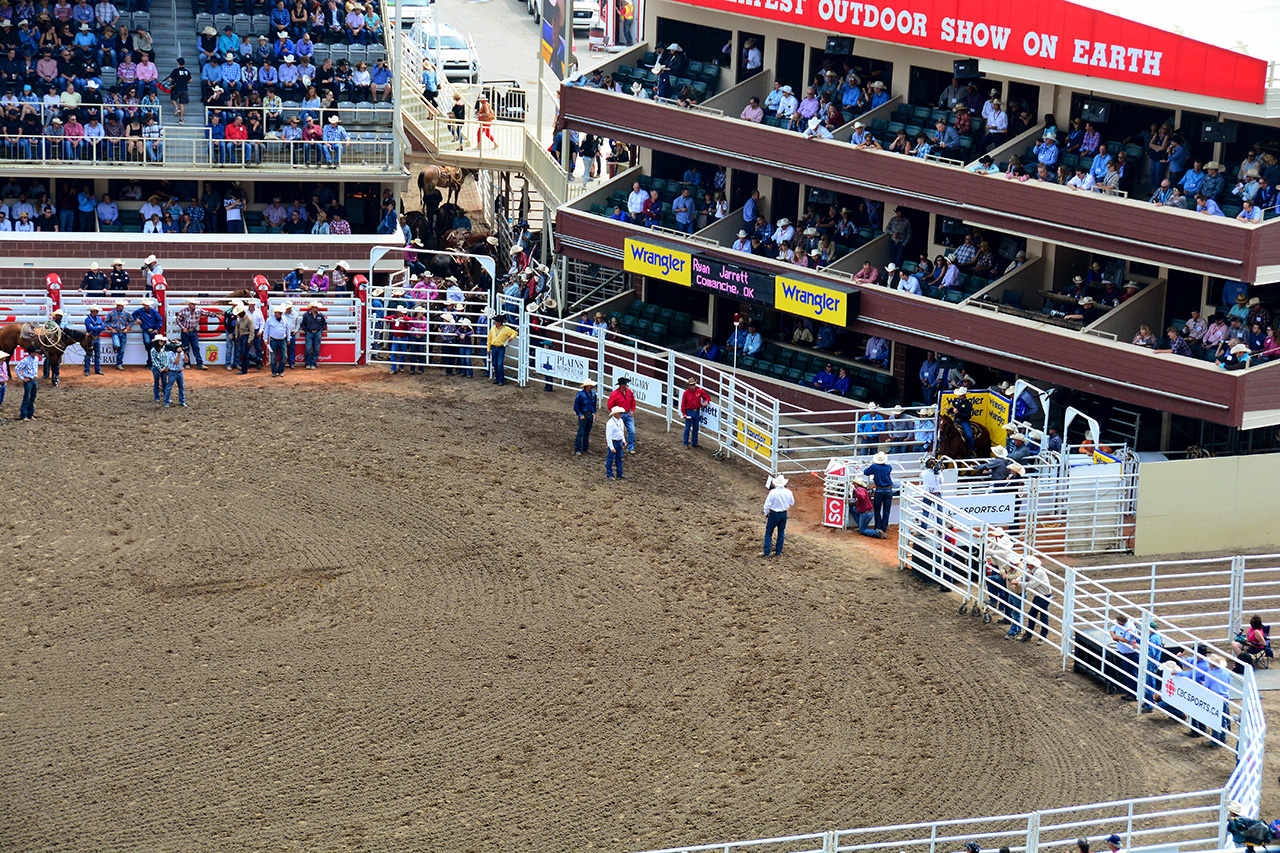 2017-07-10, 031, Calgary Stampede, AB, Tie Down Roping