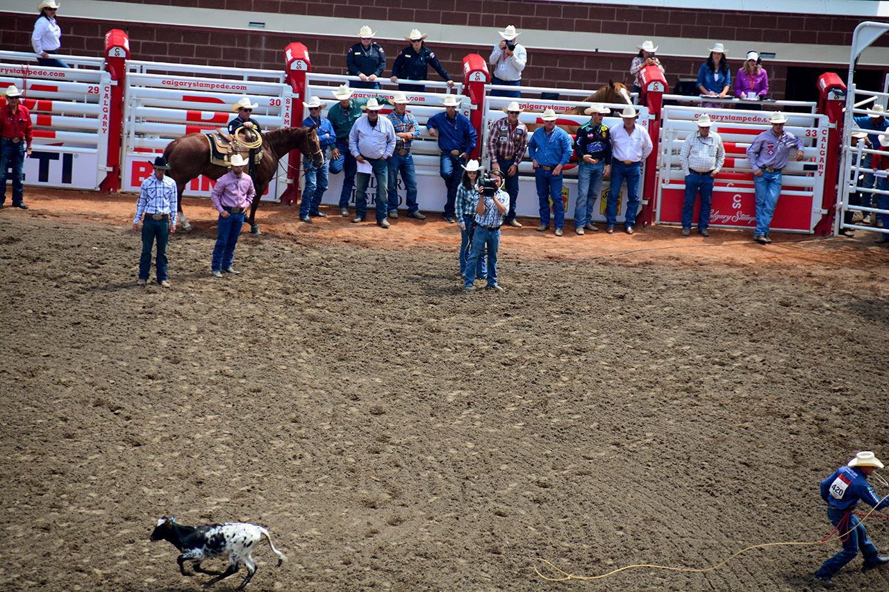 2017-07-10, 053, Calgary Stampede, AB, Tie Down Roping