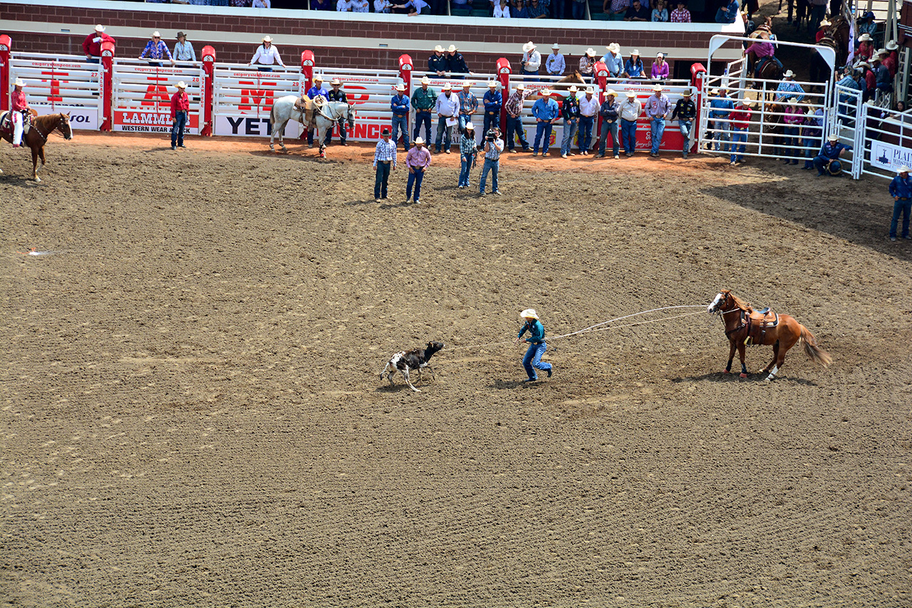 2017-07-10, 063, Calgary Stampede, AB, Tie Down Roping