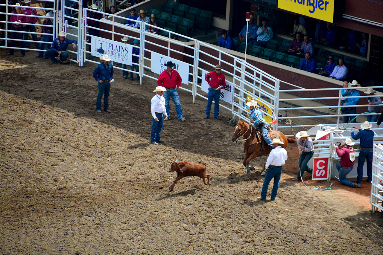 2017-07-10, 066, Calgary Stampede, AB, Tie Down Roping