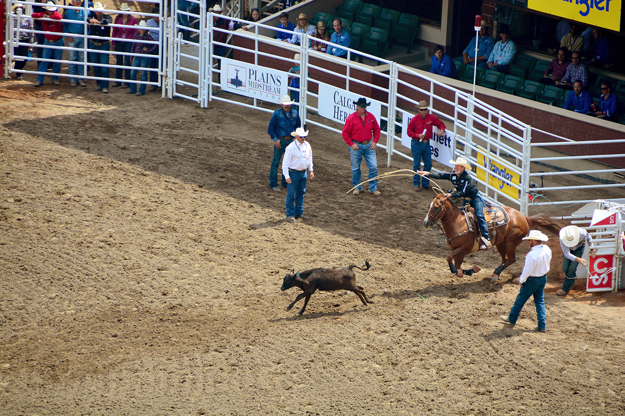 2017-07-10, 077, Calgary Stampede, AB, Tie Down Roping