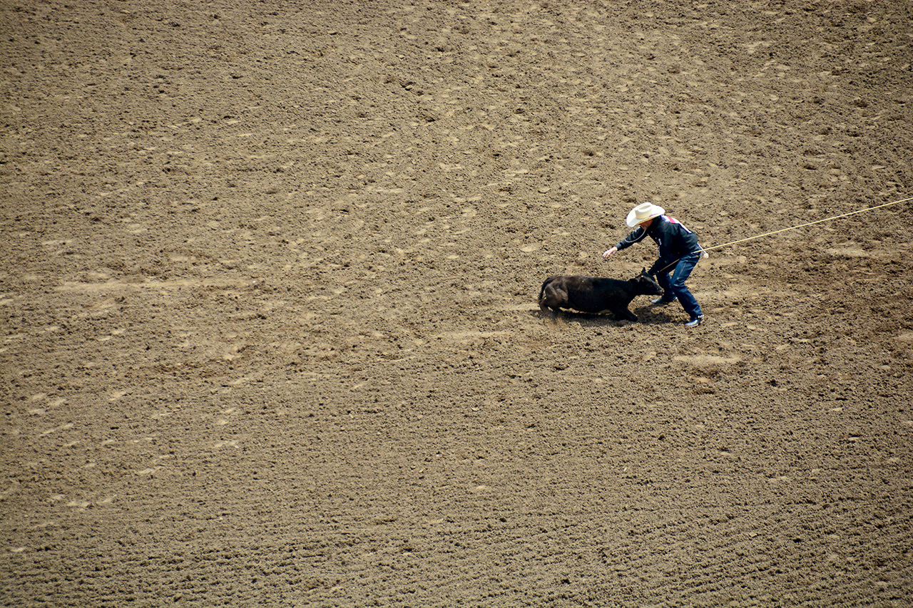 2017-07-10, 081, Calgary Stampede, AB, Tie Down Roping