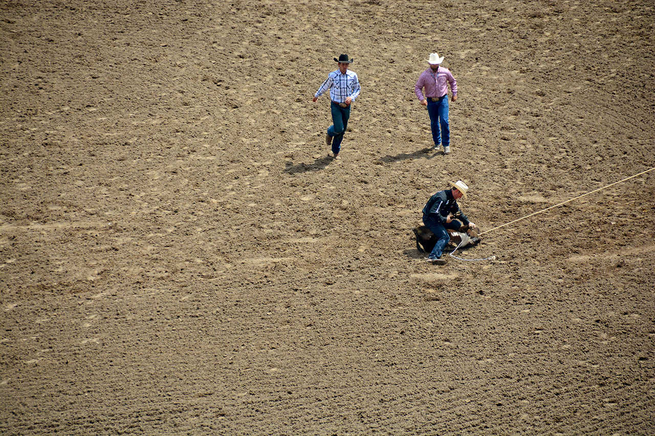 2017-07-10, 082, Calgary Stampede, AB, Tie Down Roping