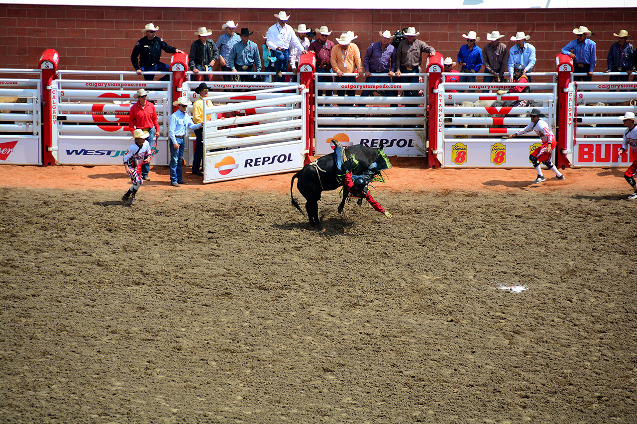 2017-07-10, 090, Calgary Stampede, AB, Steer Riding