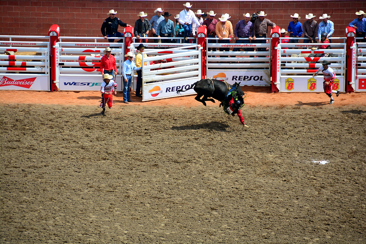 2017-07-10, 091, Calgary Stampede, AB, Steer Riding