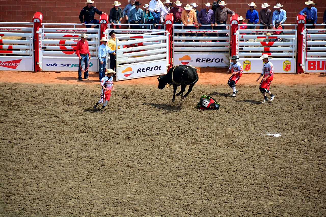 2017-07-10, 092, Calgary Stampede, AB, Steer Riding