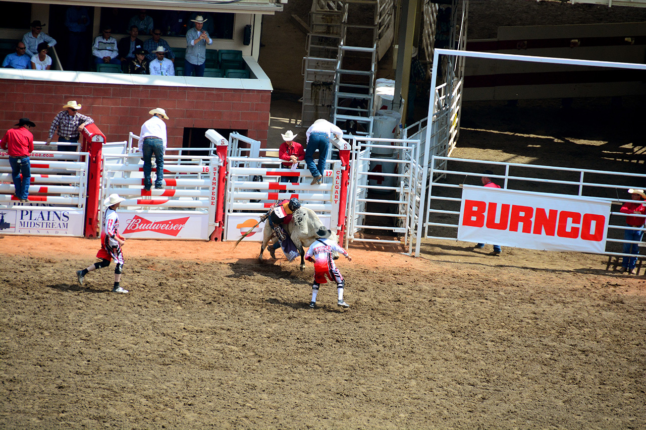 2017-07-10, 098, Calgary Stampede, AB, Steer Riding