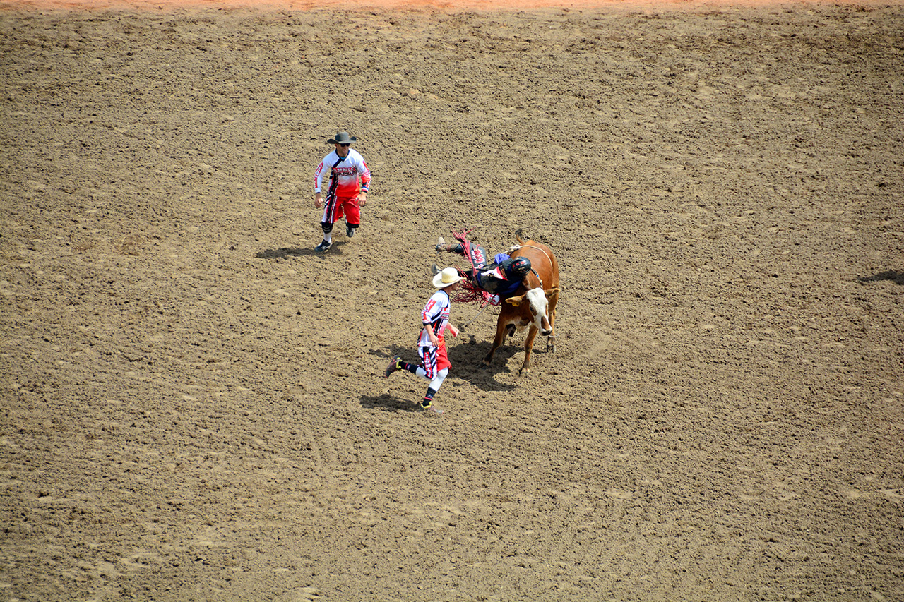 2017-07-10, 104, Calgary Stampede, AB, Steer Riding
