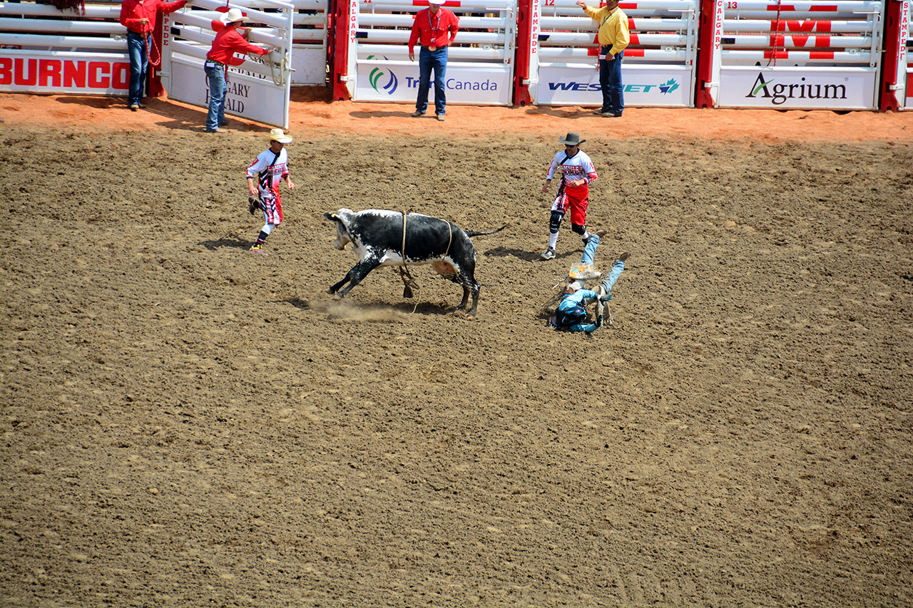 2017-07-10, 110, Calgary Stampede, AB, Steer Riding