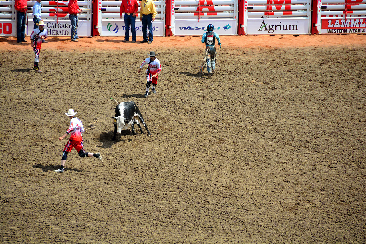 2017-07-10, 111, Calgary Stampede, AB, Steer Riding