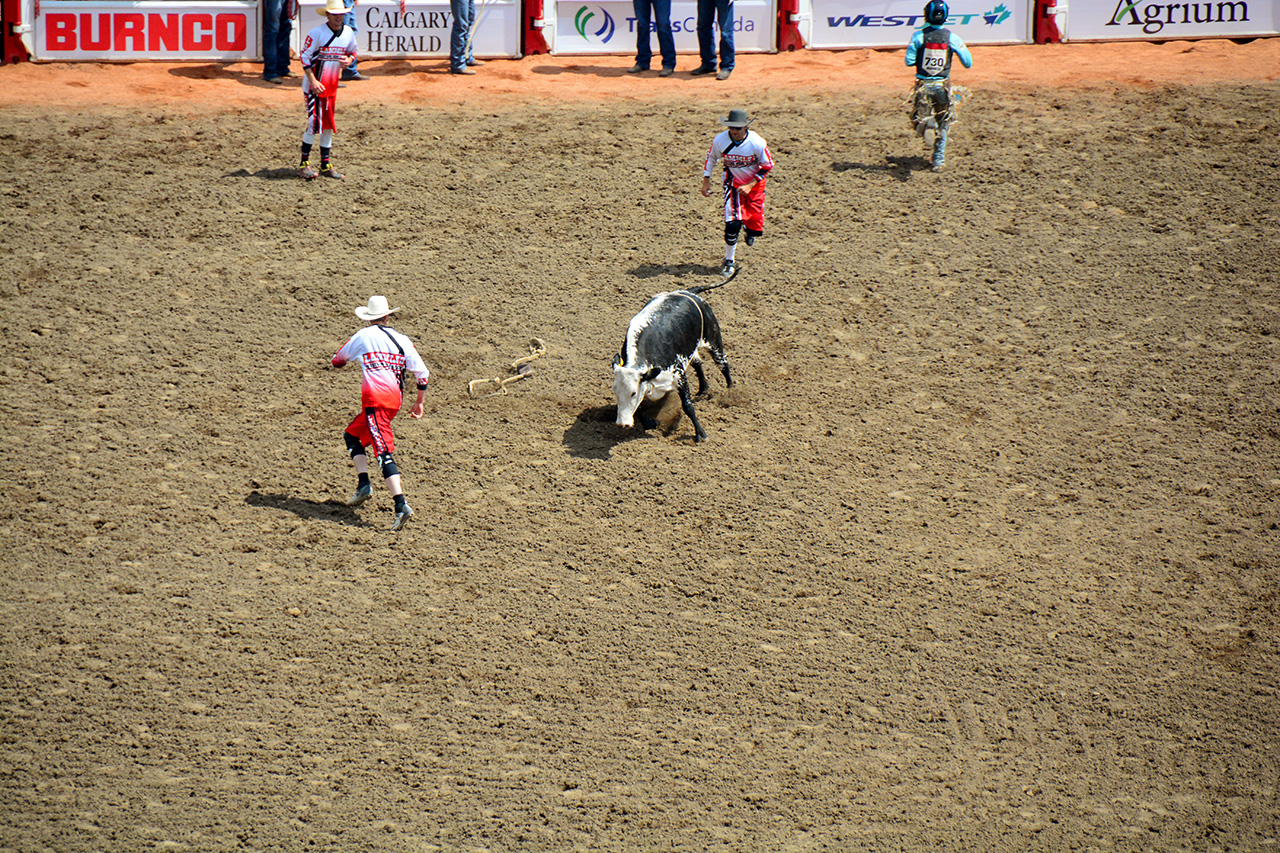 2017-07-10, 112, Calgary Stampede, AB, Steer Riding