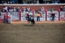 2017-07-10, 019, Calgary Stampede, AB, Saddle Bronco Riding