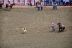 2017-07-10, 046, Calgary Stampede, AB, Tie Down Roping