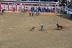 2017-07-10, 063, Calgary Stampede, AB, Tie Down Roping